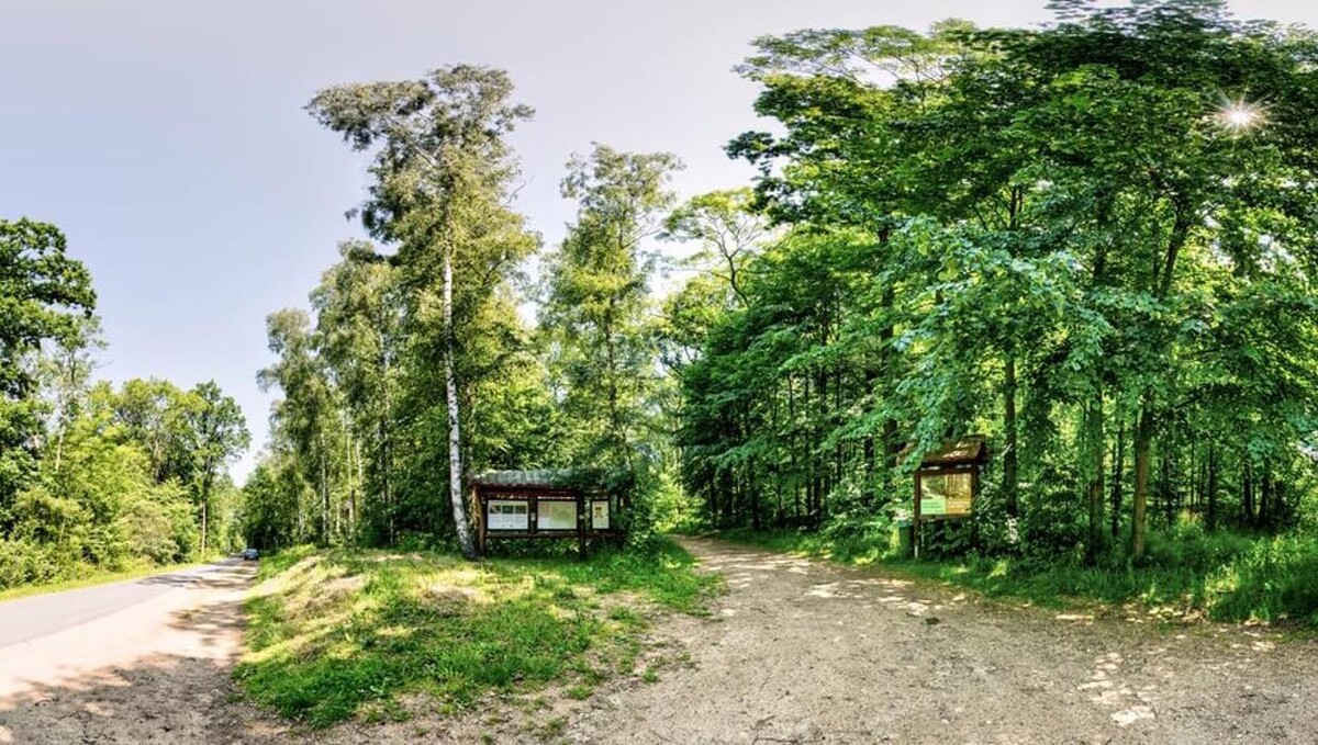 Bilder FriedWald Markersdorf