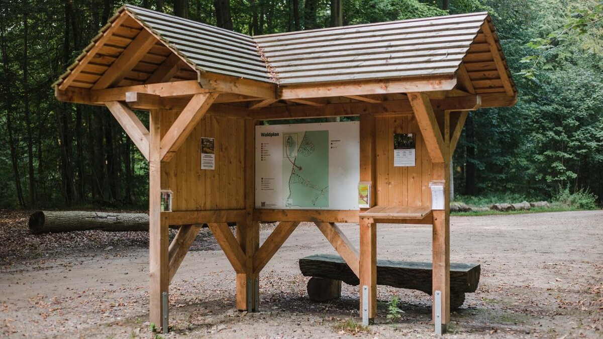 Bilder FriedWald Grevesmühlen