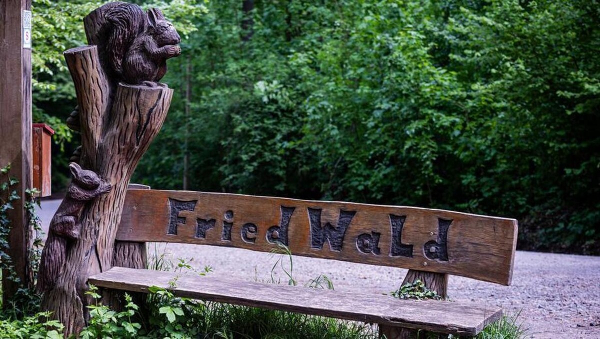 Bilder FriedWald Saarbrücken