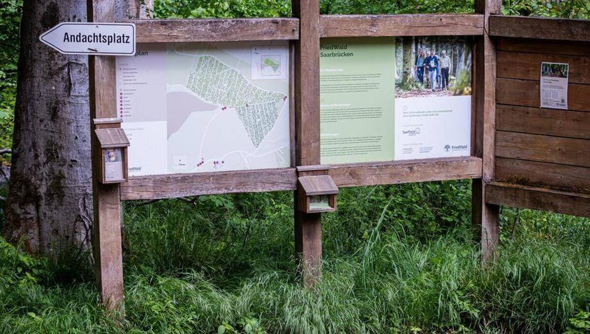 Bilder FriedWald Saarbrücken