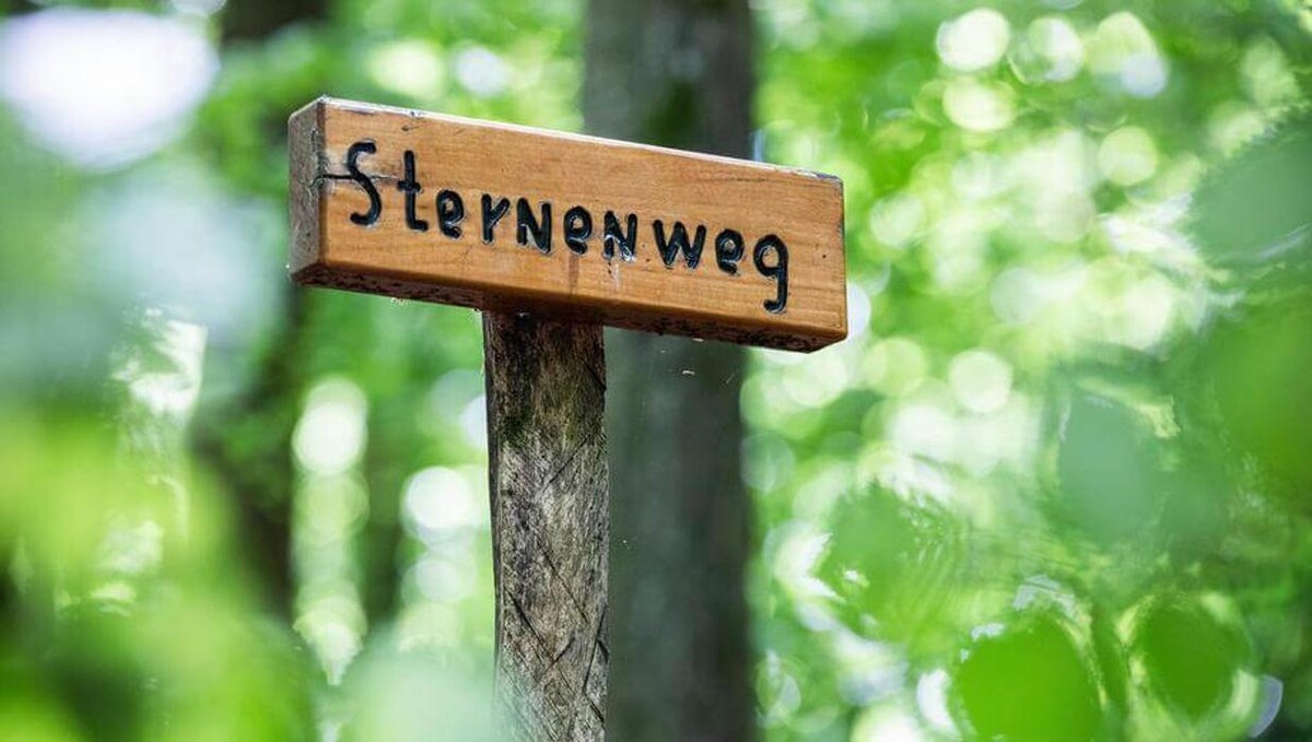 Bilder FriedWald Saarbrücken