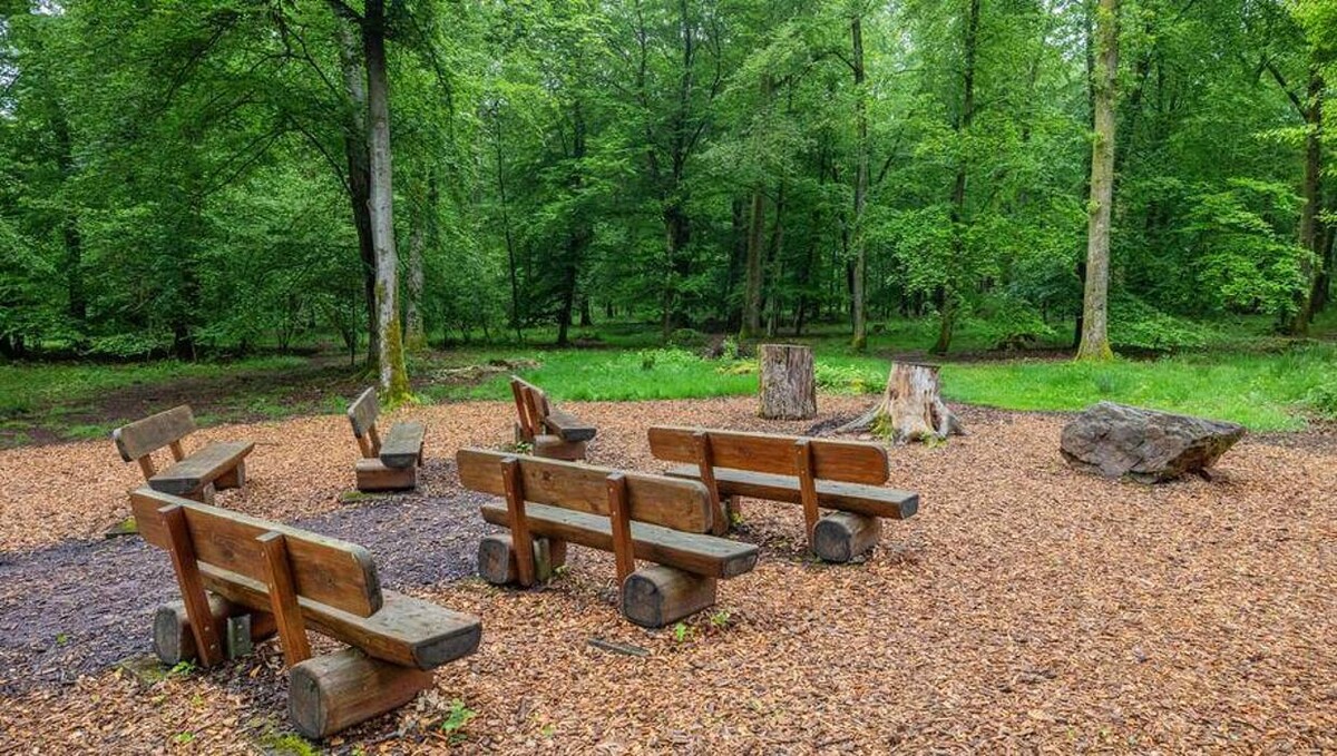 Bilder FriedWald Imsbach