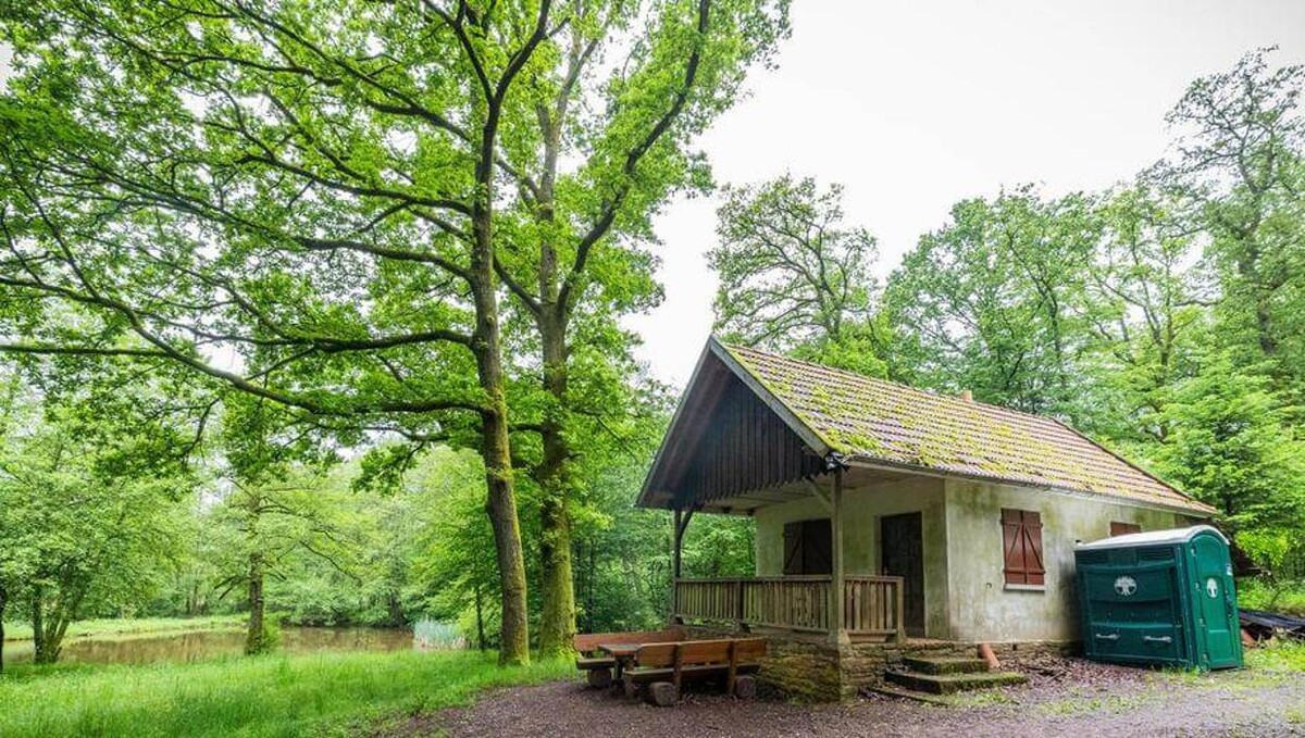 Bilder FriedWald Imsbach