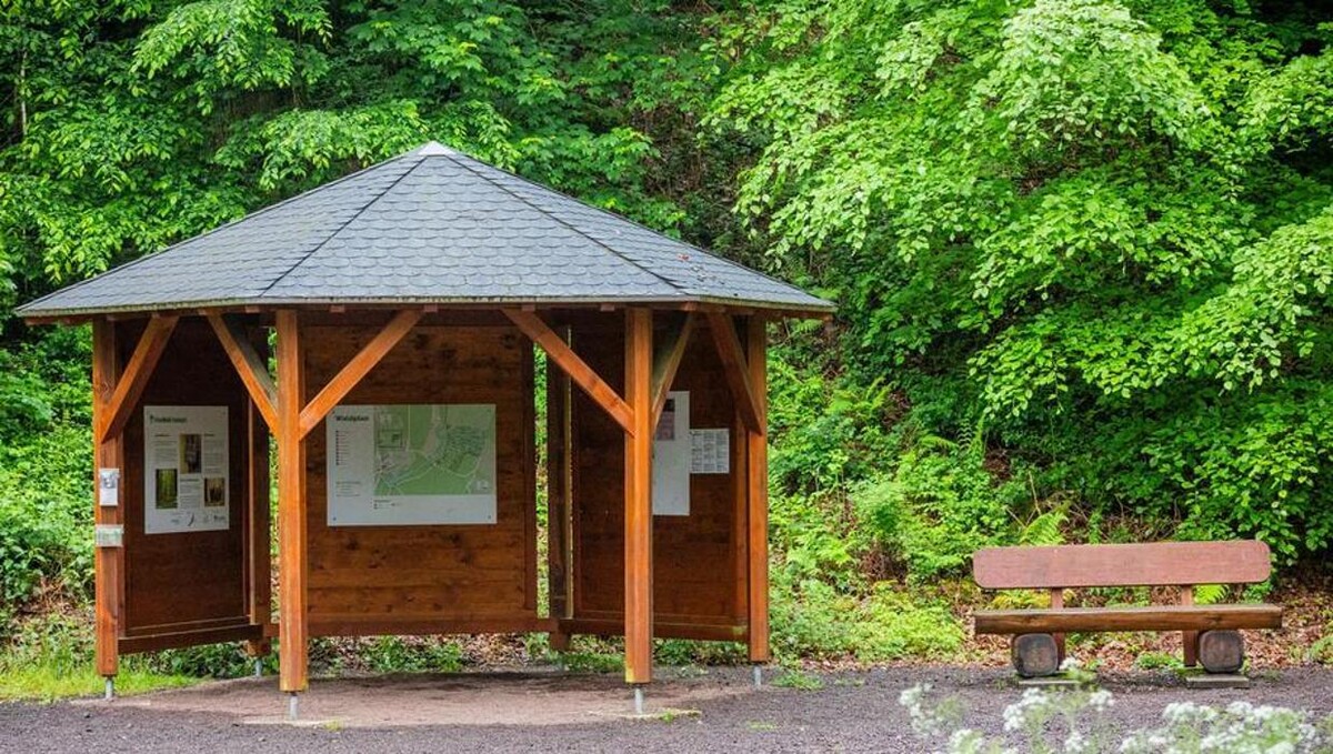 Bilder FriedWald Imsbach