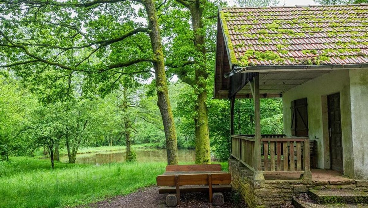 Bilder FriedWald Imsbach