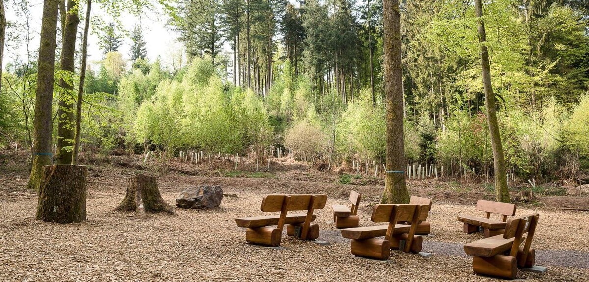 Bilder FriedWald Imsbach