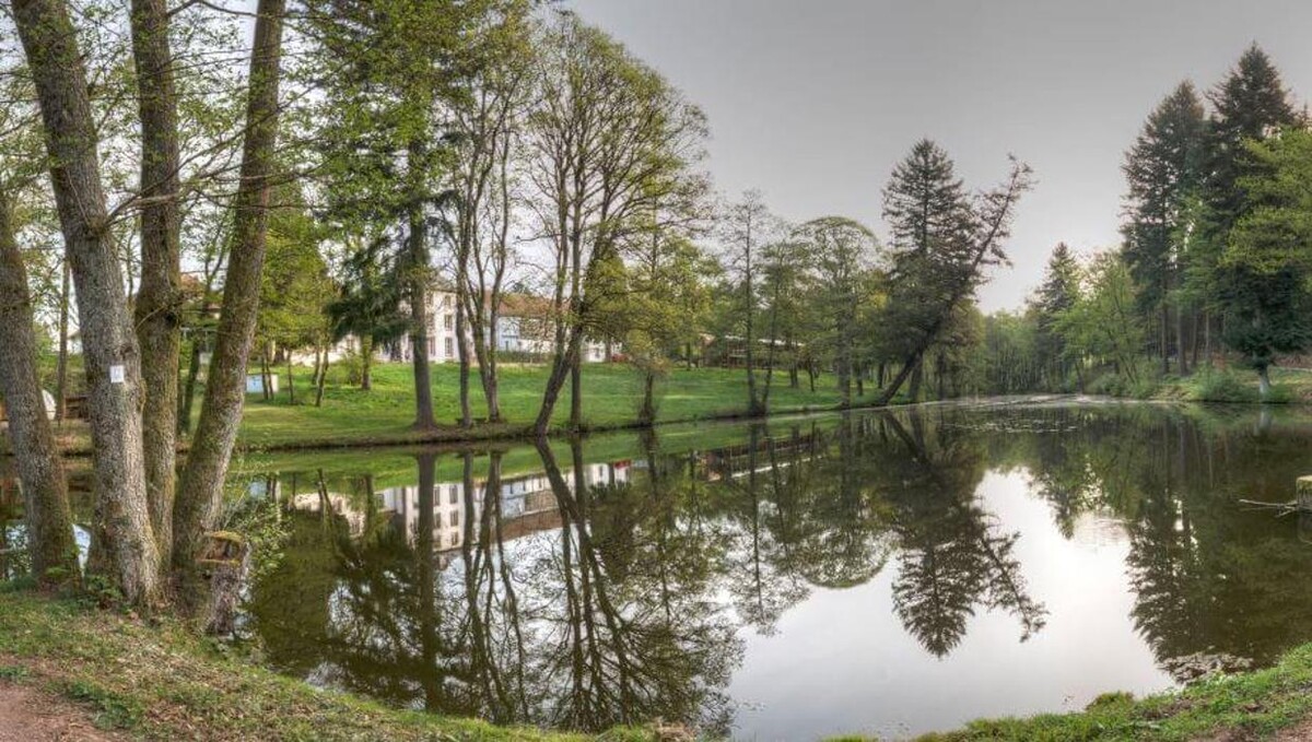 Bilder FriedWald Imsbach