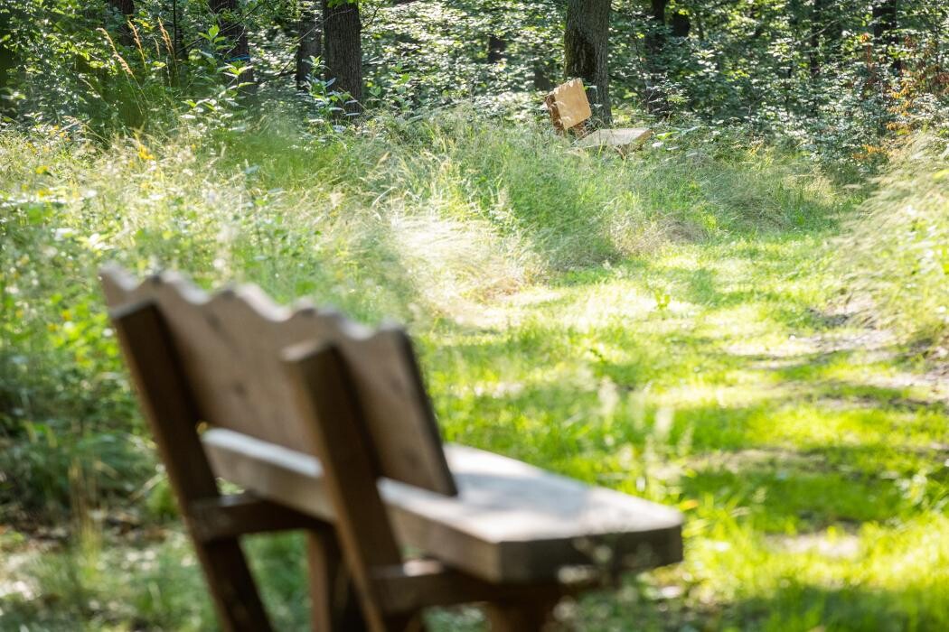 Bilder FriedWald Kirchheimbolanden
