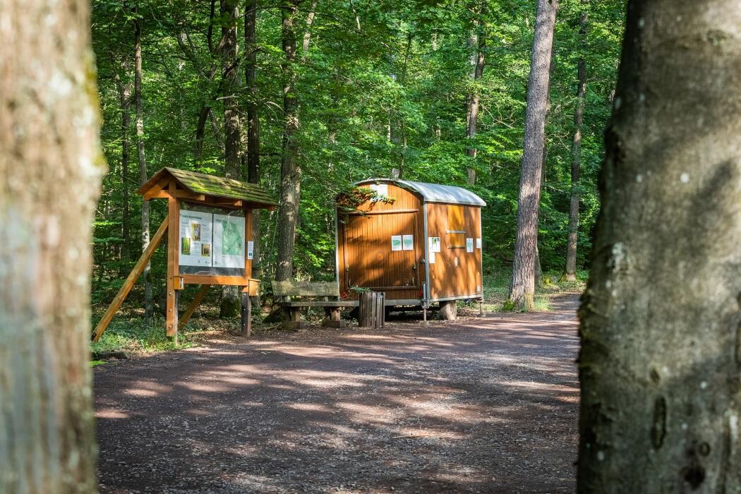 Bilder FriedWald Kirchheimbolanden