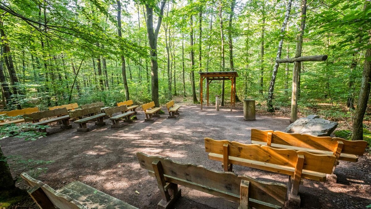 Bilder FriedWald Kirchheimbolanden