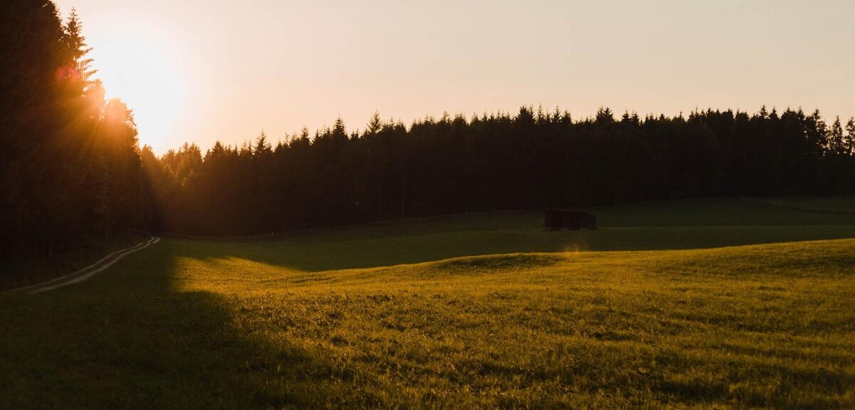 Bilder FriedWald Münsingen