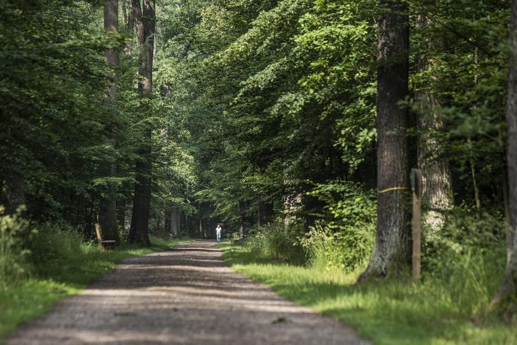 Bilder FriedWald Dessau-Wörlitz