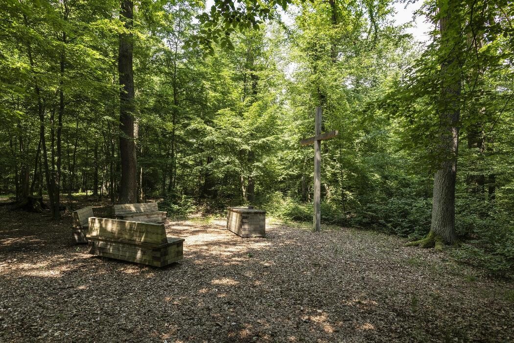 Bilder FriedWald Dessau-Wörlitz