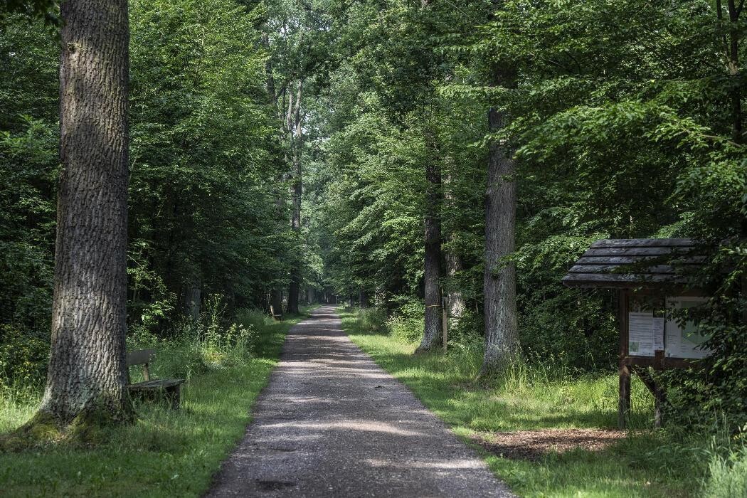 Bilder FriedWald Dessau-Wörlitz