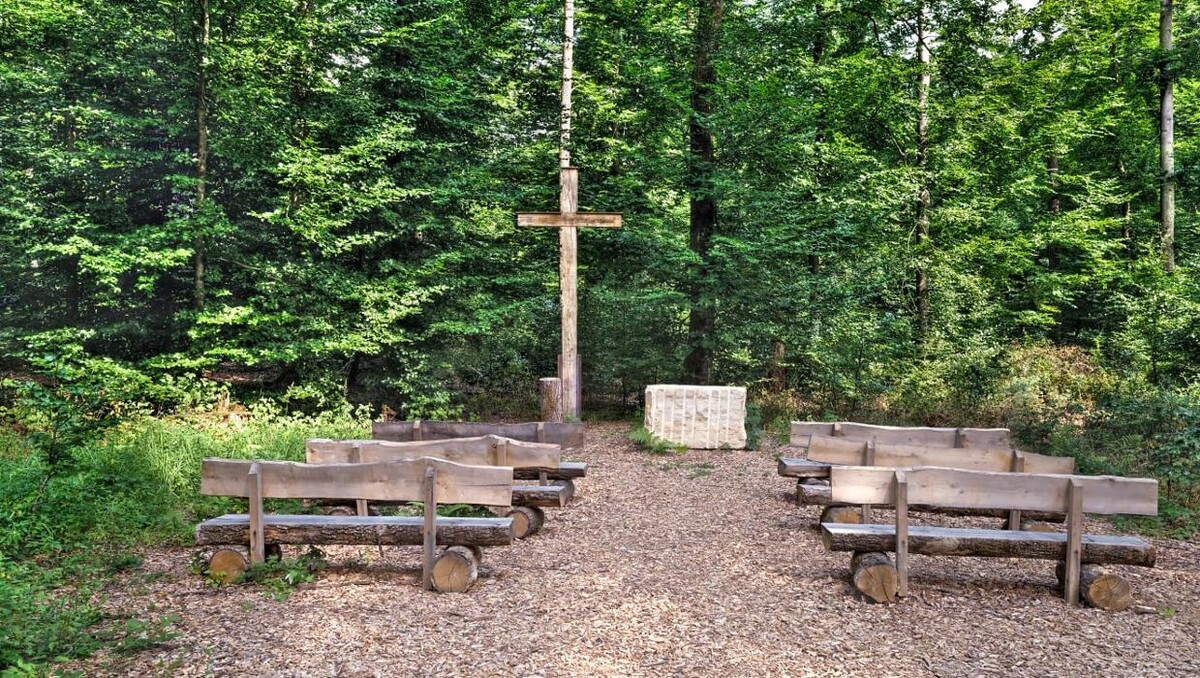 Bilder Evangelisch-Lutherischer FriedWald Altmühltal in Pappenheim