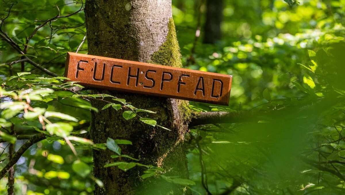 Bilder Evangelisch-Lutherischer FriedWald Altmühltal in Pappenheim
