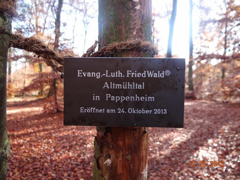 Bilder Evangelisch-Lutherischer FriedWald Altmühltal in Pappenheim
