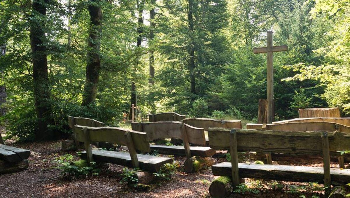 Bilder Evangelisch-Lutherischer FriedWald Altmühltal in Pappenheim