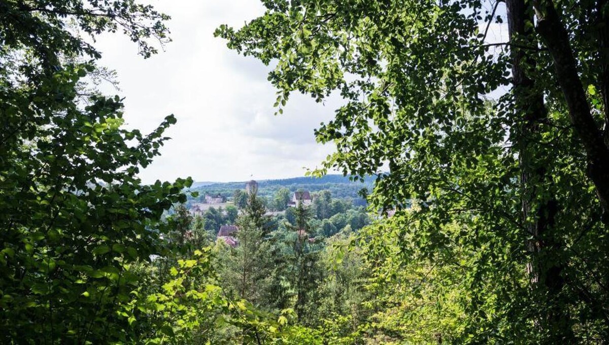 Bilder Evangelisch-Lutherischer FriedWald Altmühltal in Pappenheim