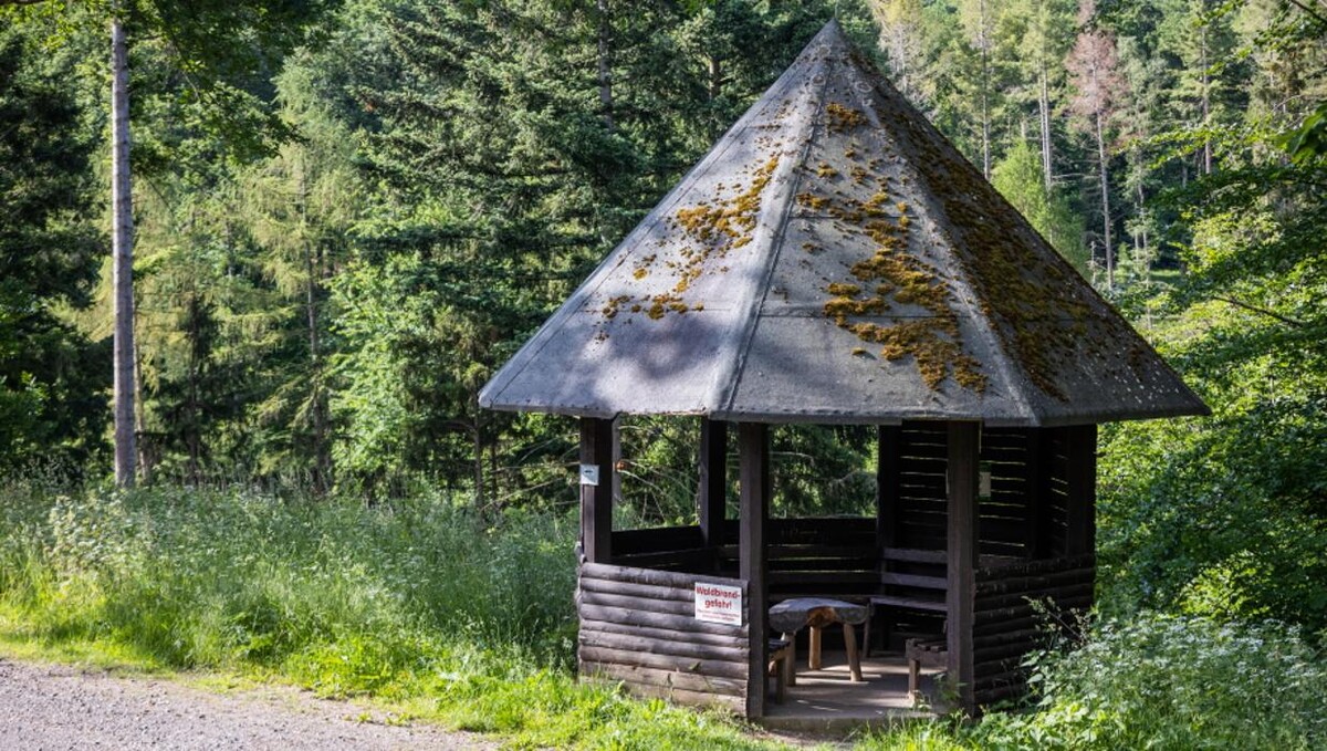 Bilder FriedWald Bad Münstereifel