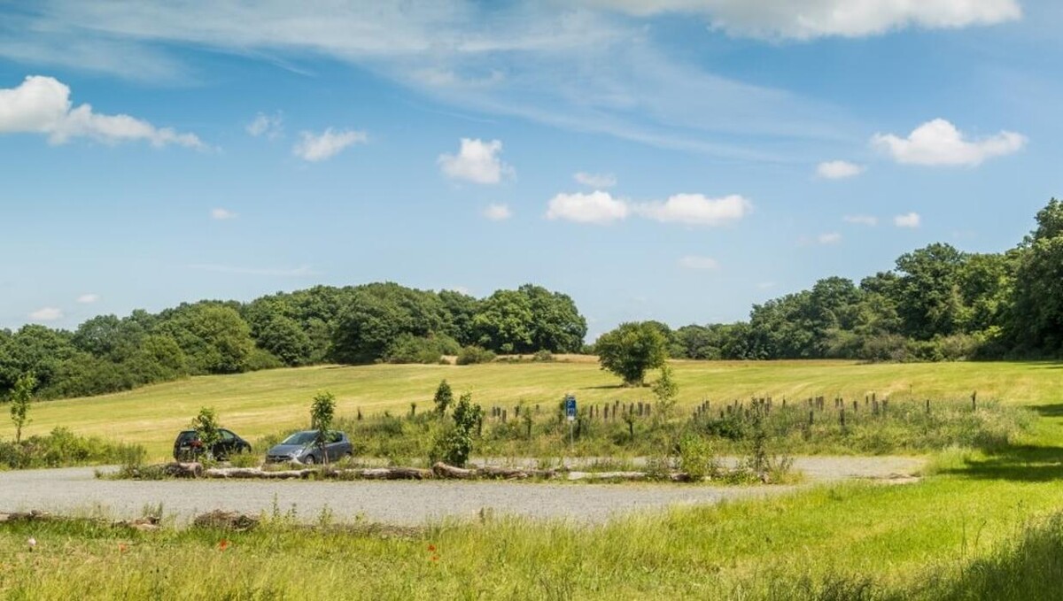 Bilder FriedWald Bad Münstereifel