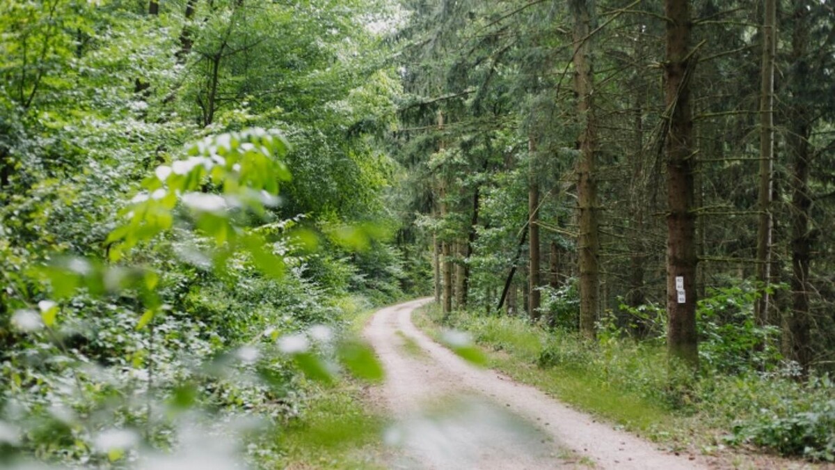 Bilder FriedWald Bad Münstereifel