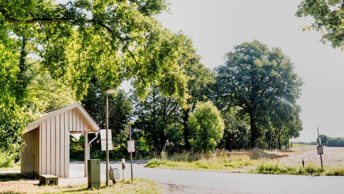 Bilder FriedWald Hasbruch