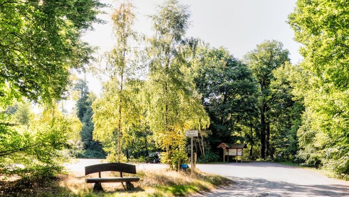 Bilder FriedWald Hasbruch