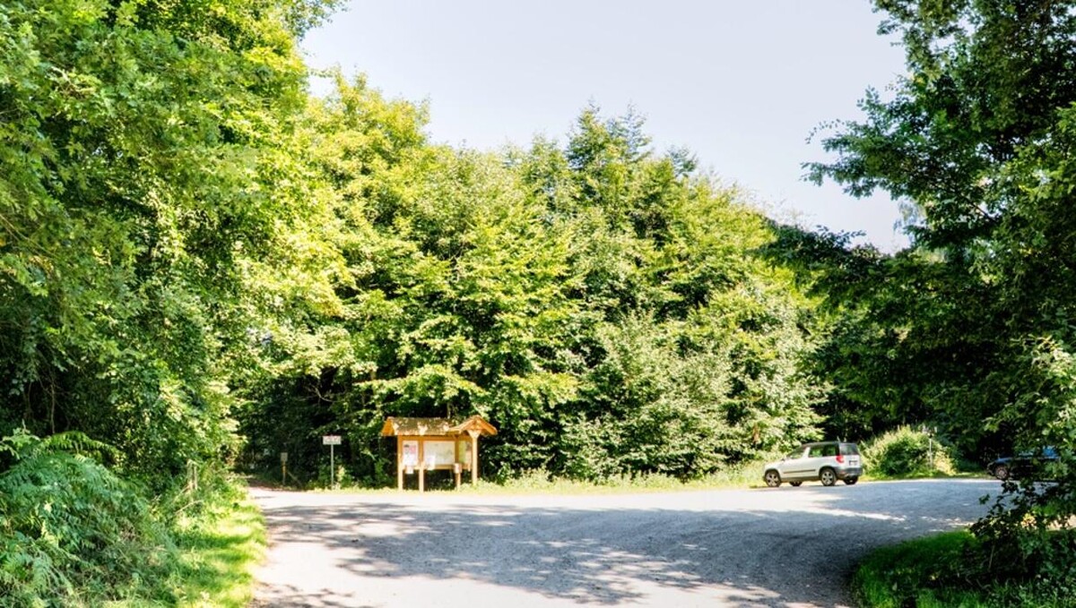 Bilder FriedWald Hasbruch
