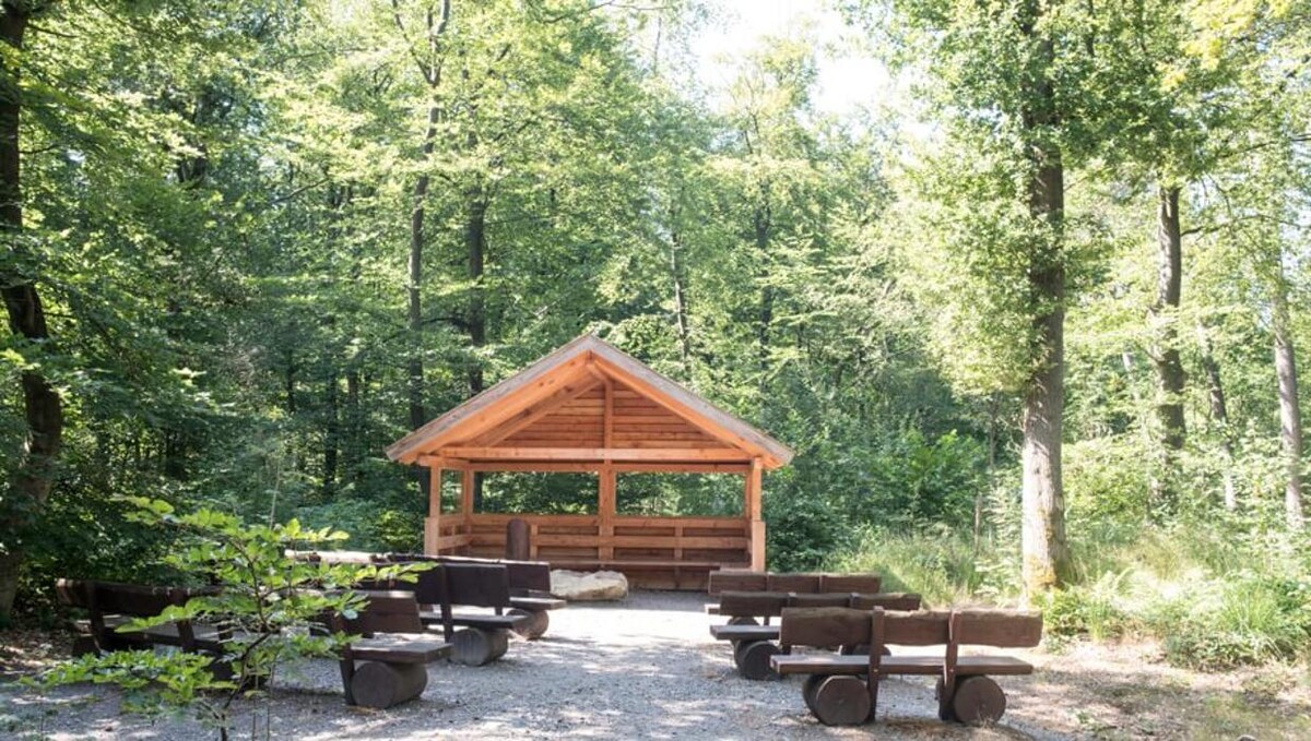 Bilder FriedWald Hasbruch