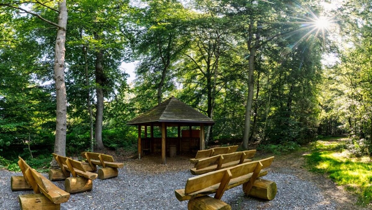 Bilder FriedWald Hasbruch