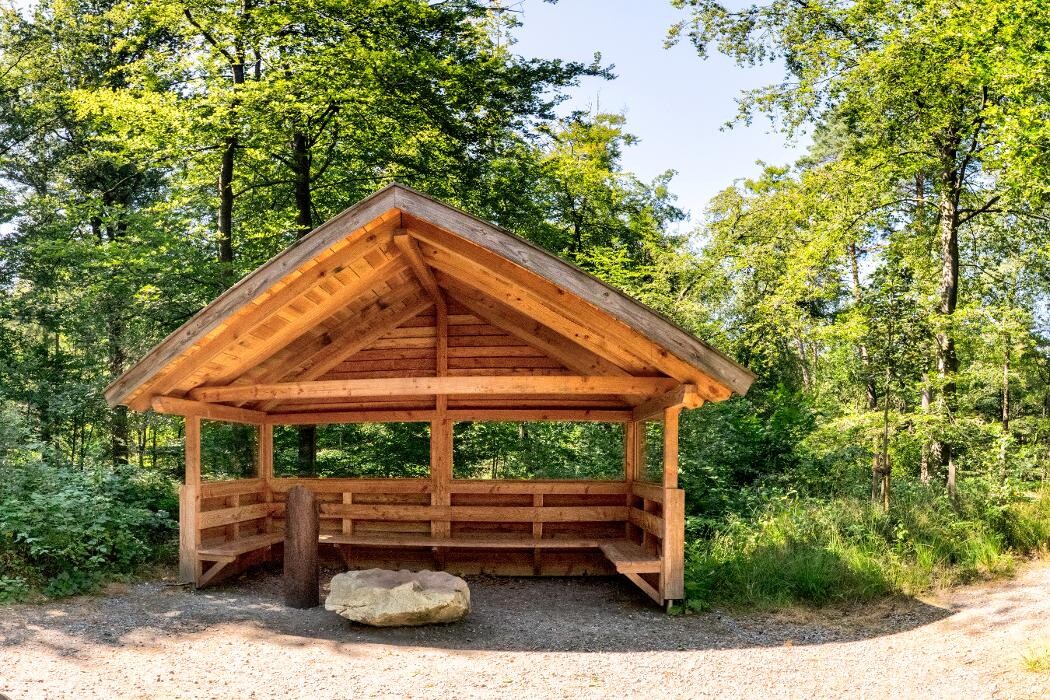 Bilder FriedWald Hasbruch