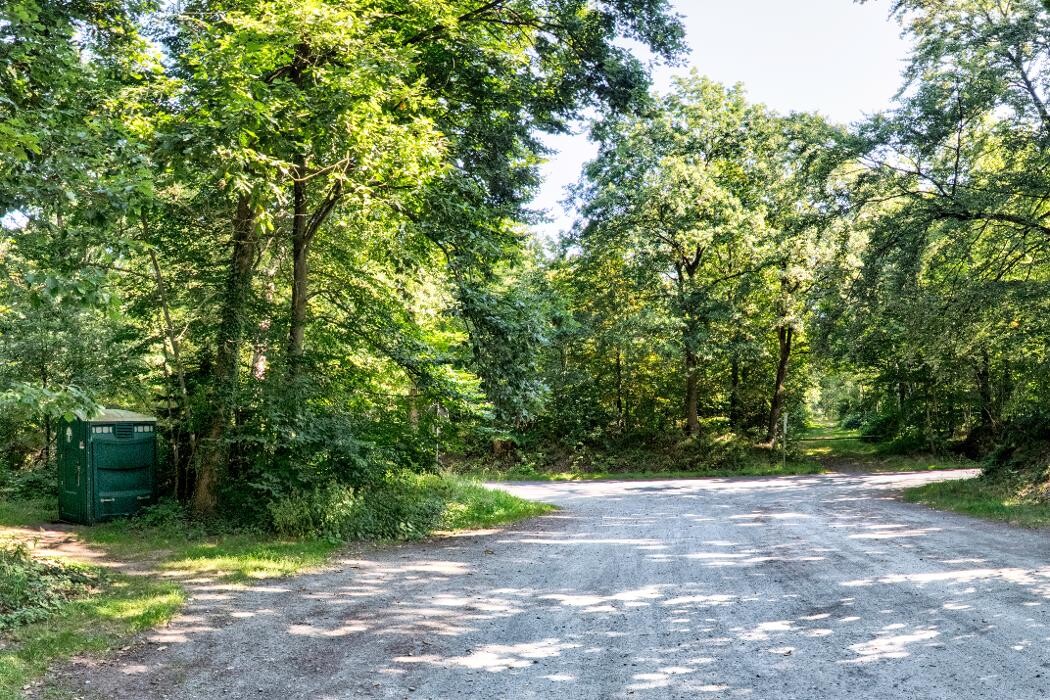 Bilder FriedWald Hasbruch