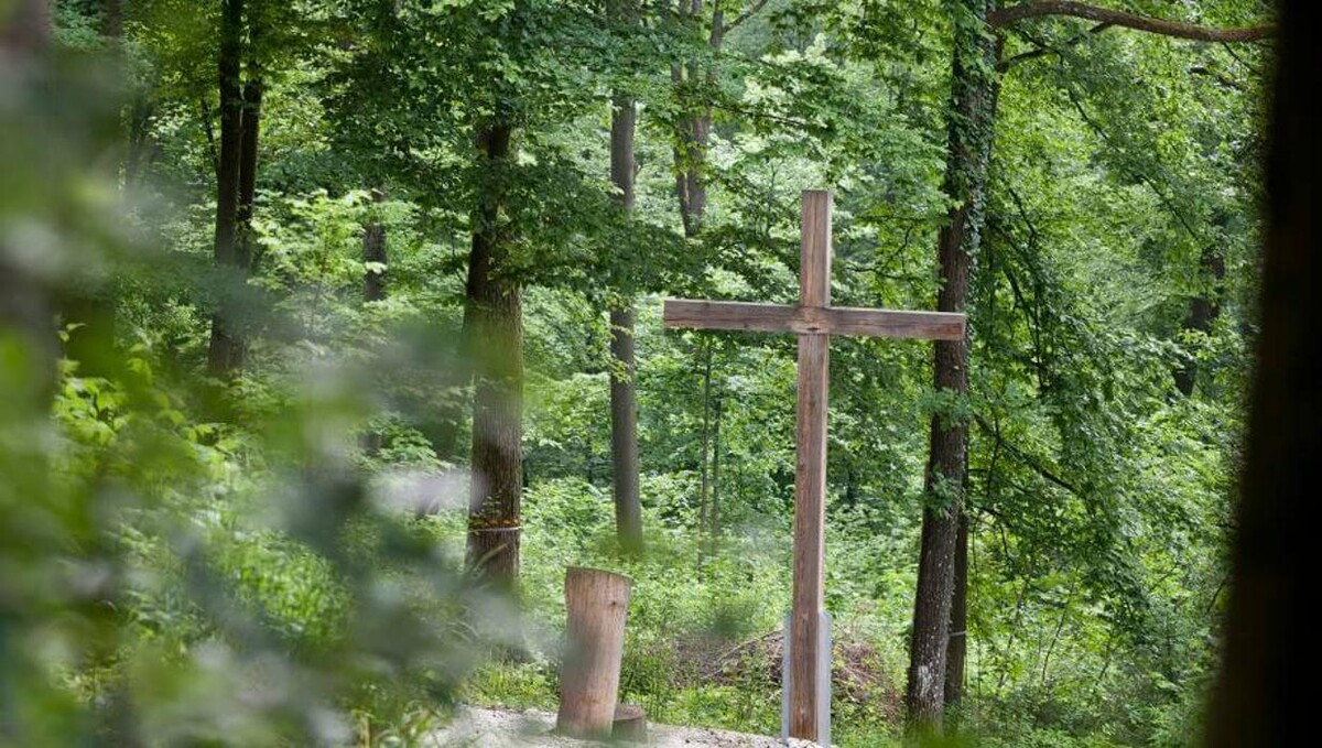 Bilder FriedWald Fränkische Schweiz