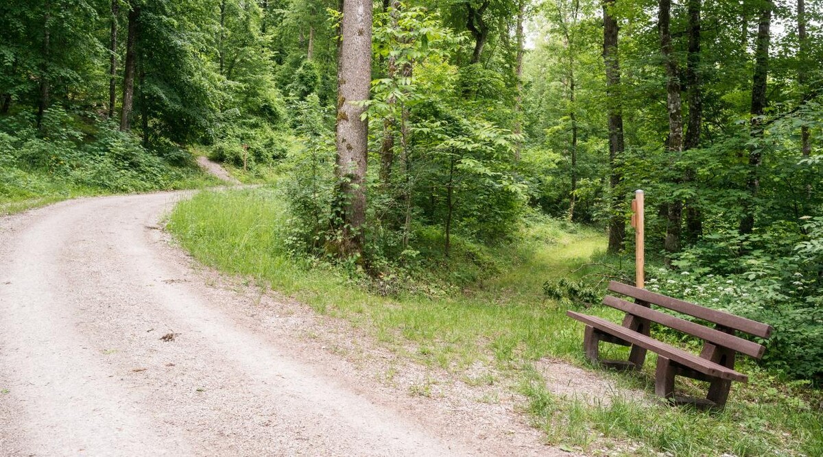 Bilder FriedWald Fränkische Schweiz