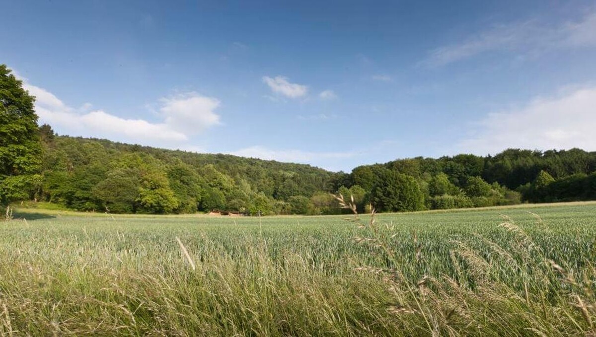 Bilder FriedWald Fränkische Schweiz