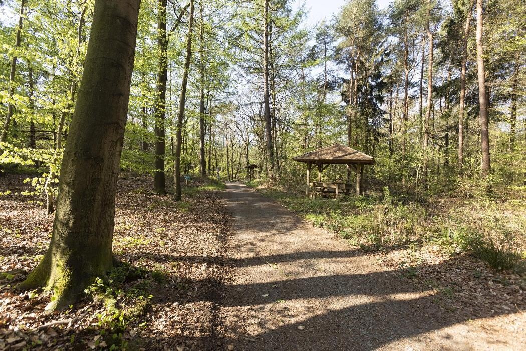 Bilder FriedWald Bremervörde