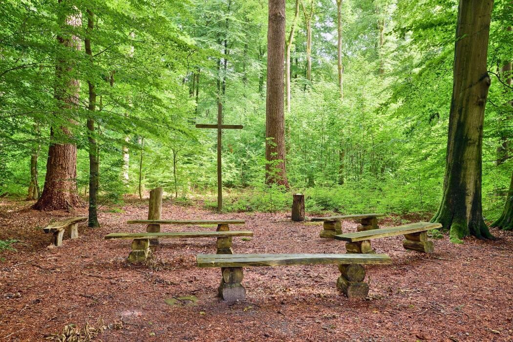 Bilder FriedWald Bremervörde