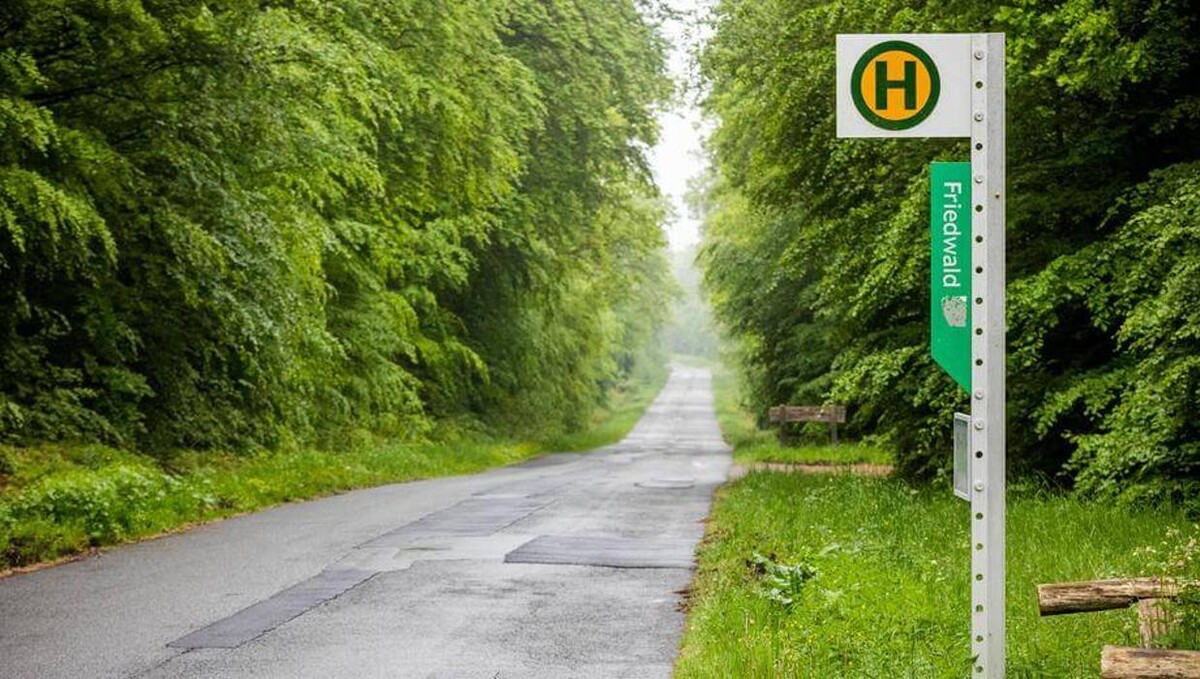 Bilder FriedWald Reinhardswald
