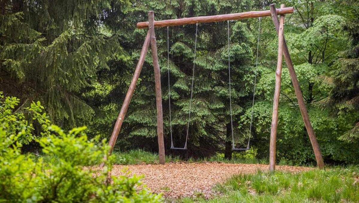 Bilder FriedWald Reinhardswald