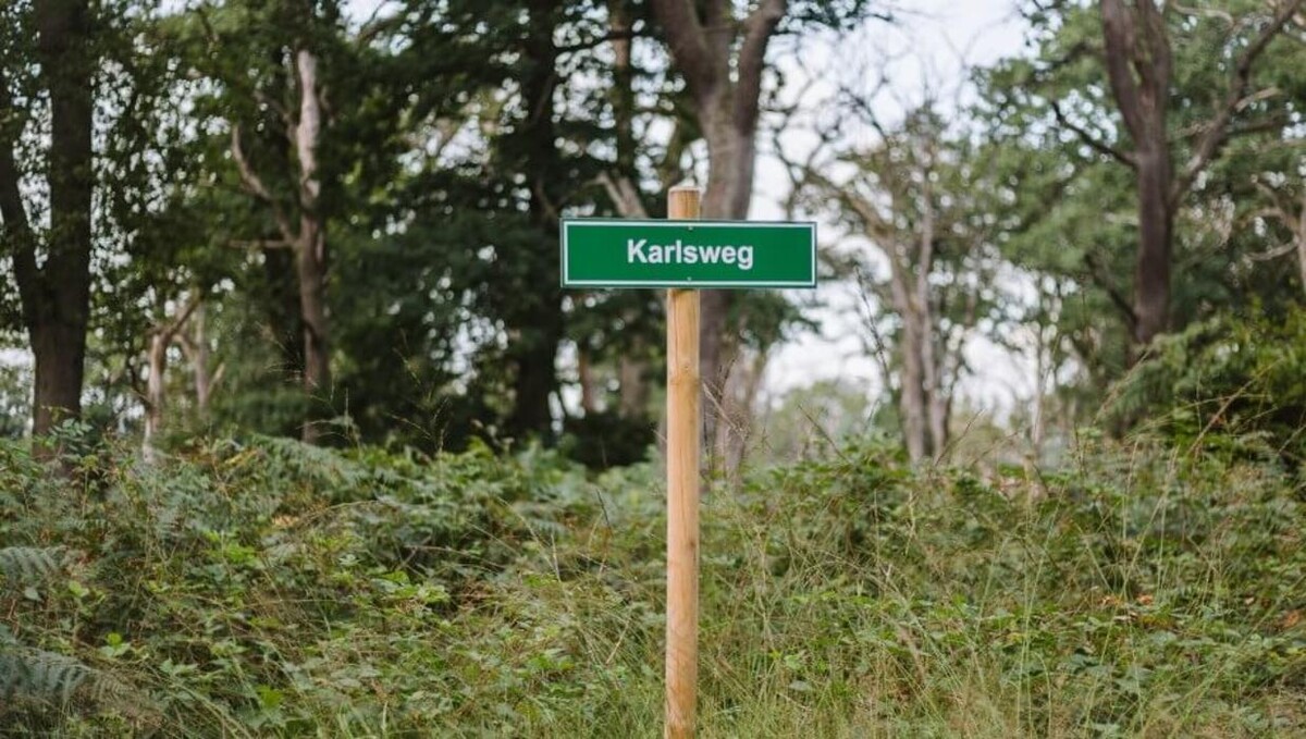 Bilder FriedWald Reinhardswald