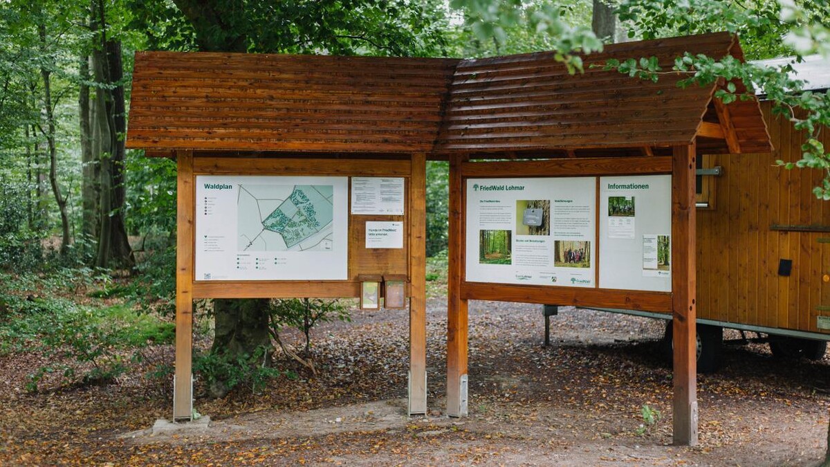 Bilder FriedWald Lohmar-Heide