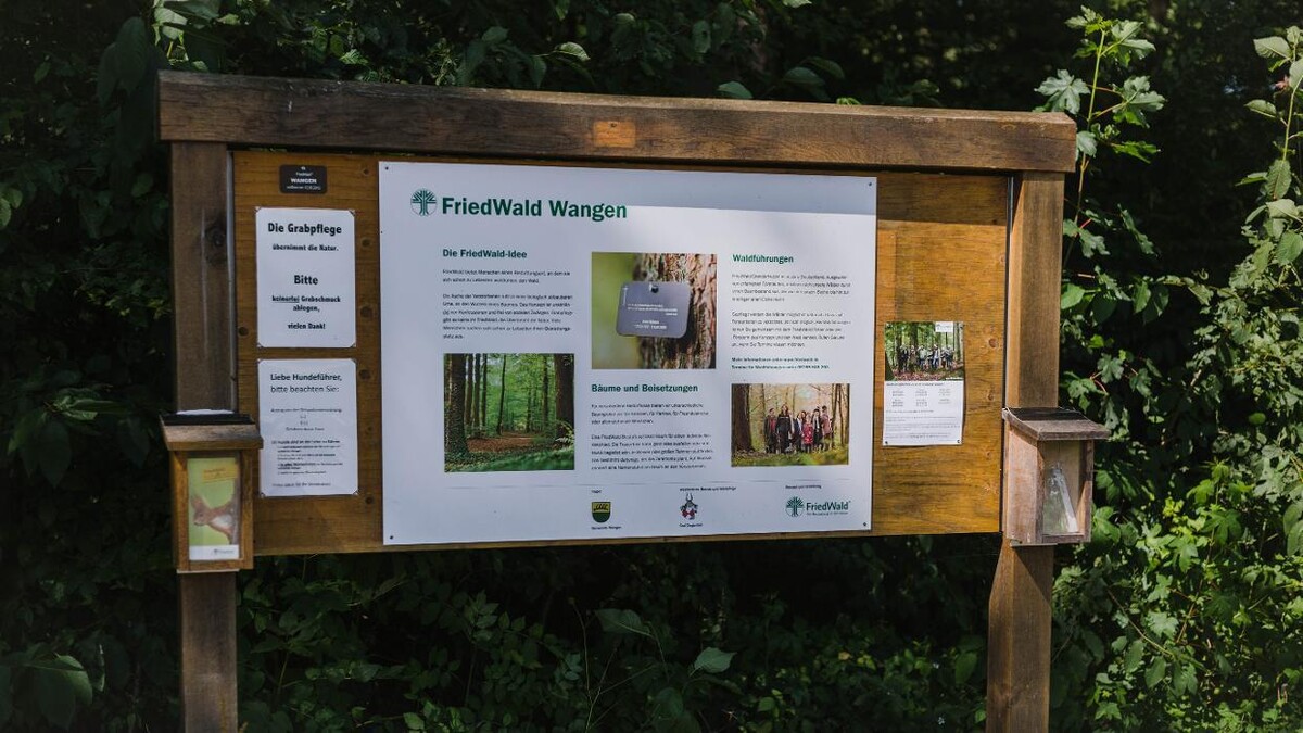 Bilder FriedWald Wangen