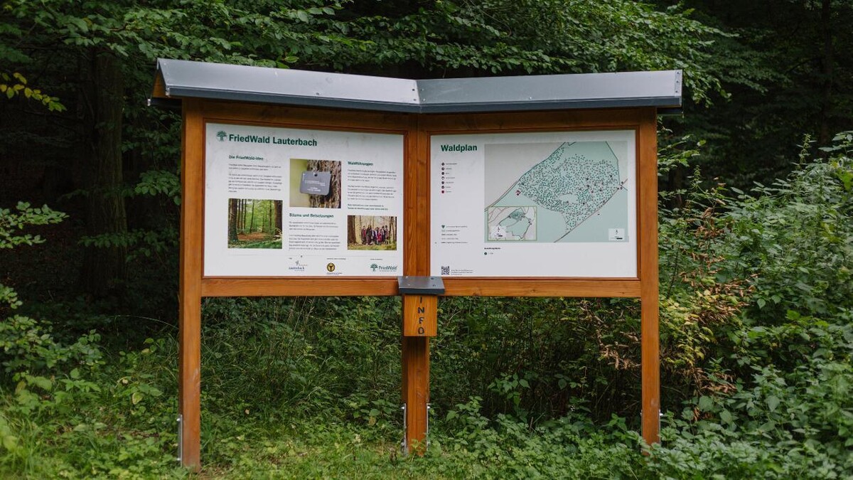 Bilder FriedWald Lauterbach