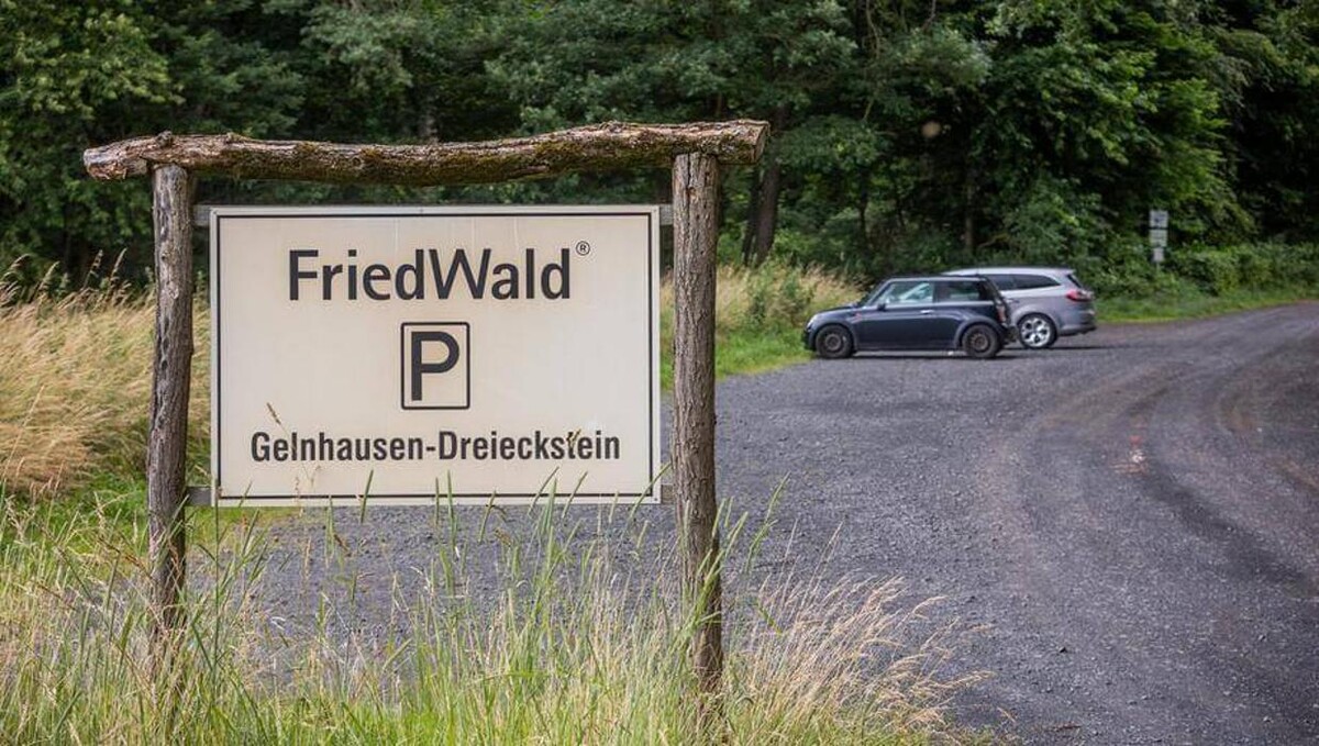 Bilder FriedWald Gelnhausen - Dreieckstein