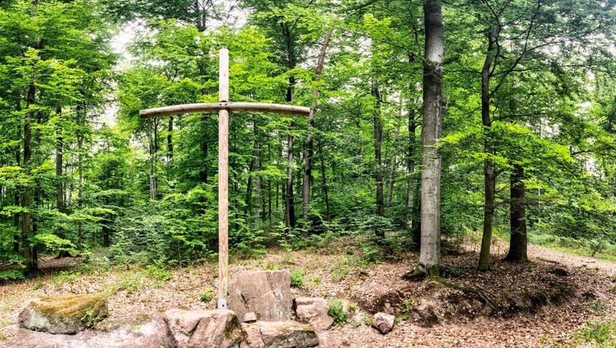 Bilder FriedWald Gelnhausen - Dreieckstein