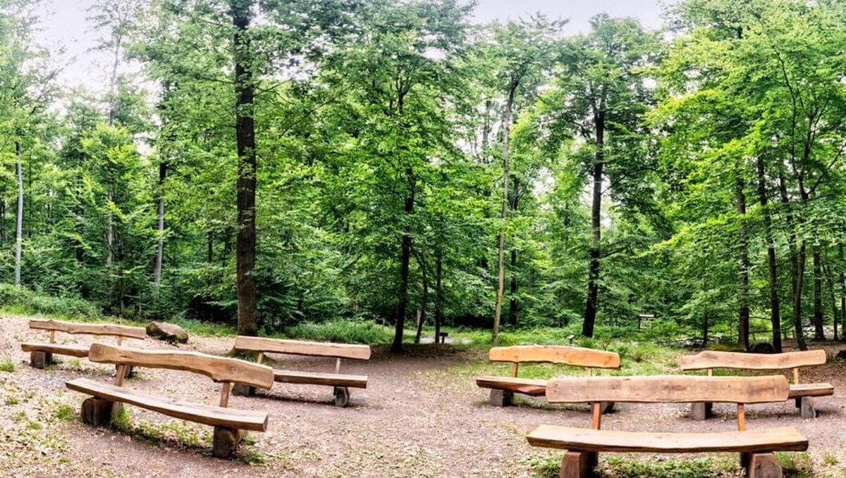 Bilder FriedWald Gelnhausen - Dreieckstein