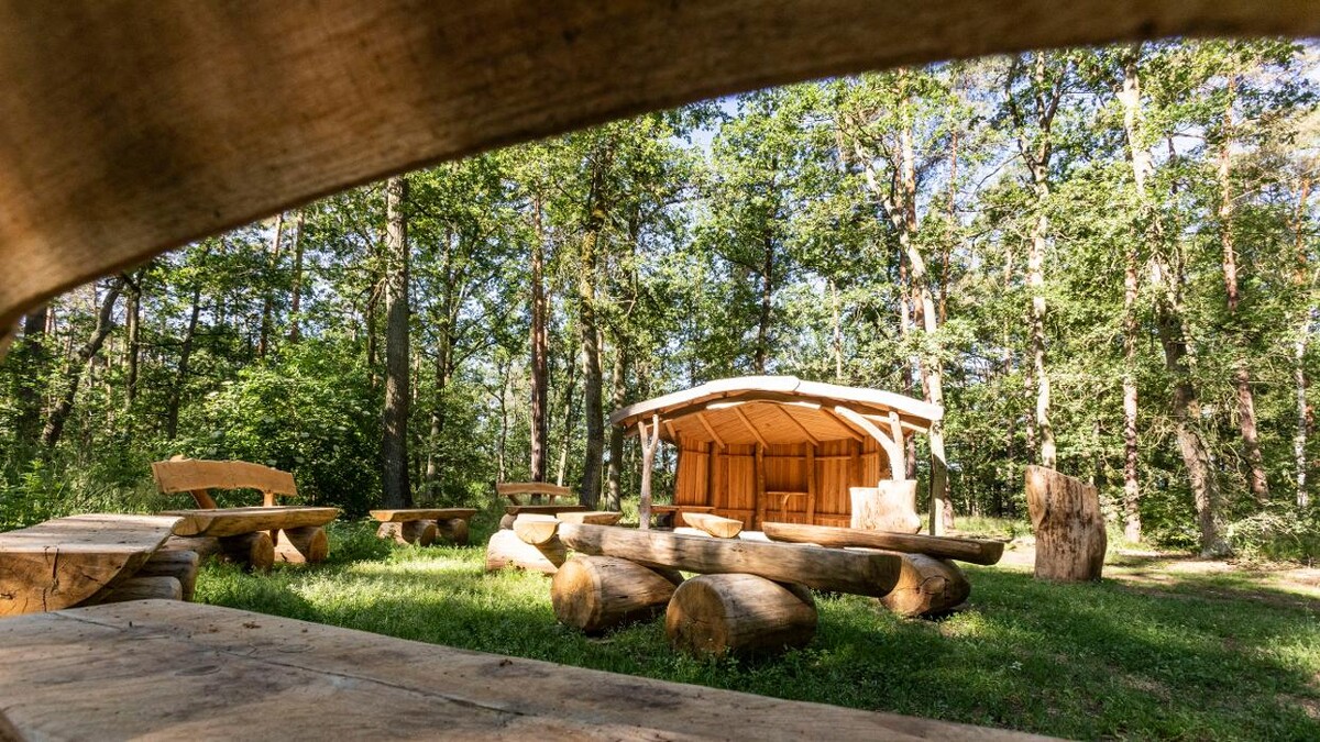 Bilder FriedWald Nuthetal-Parforceheide