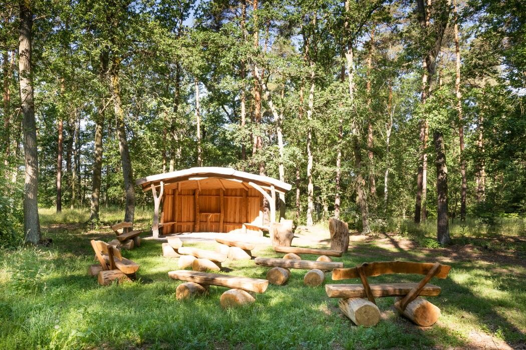 Bilder FriedWald Nuthetal-Parforceheide