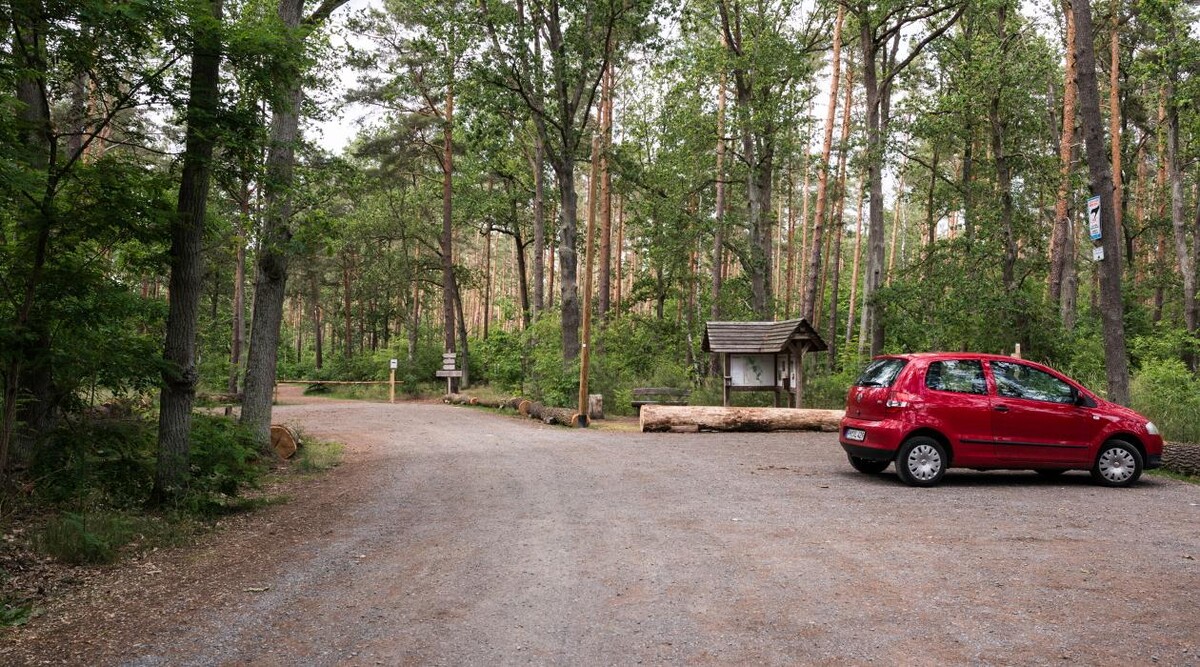 Bilder FriedWald Nuthetal-Parforceheide